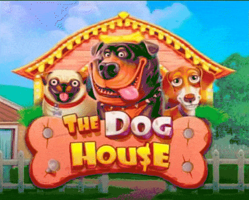 play the dog house in luckycapone casino
